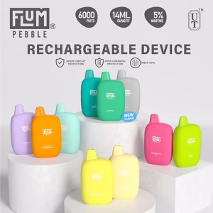 Flum Pebble 6000 Puffs